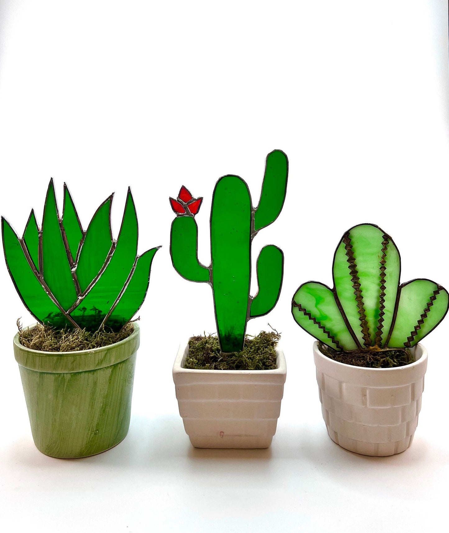 Estaca para plantas de vidrieras • Cactus de vidrieras y hojas de agave