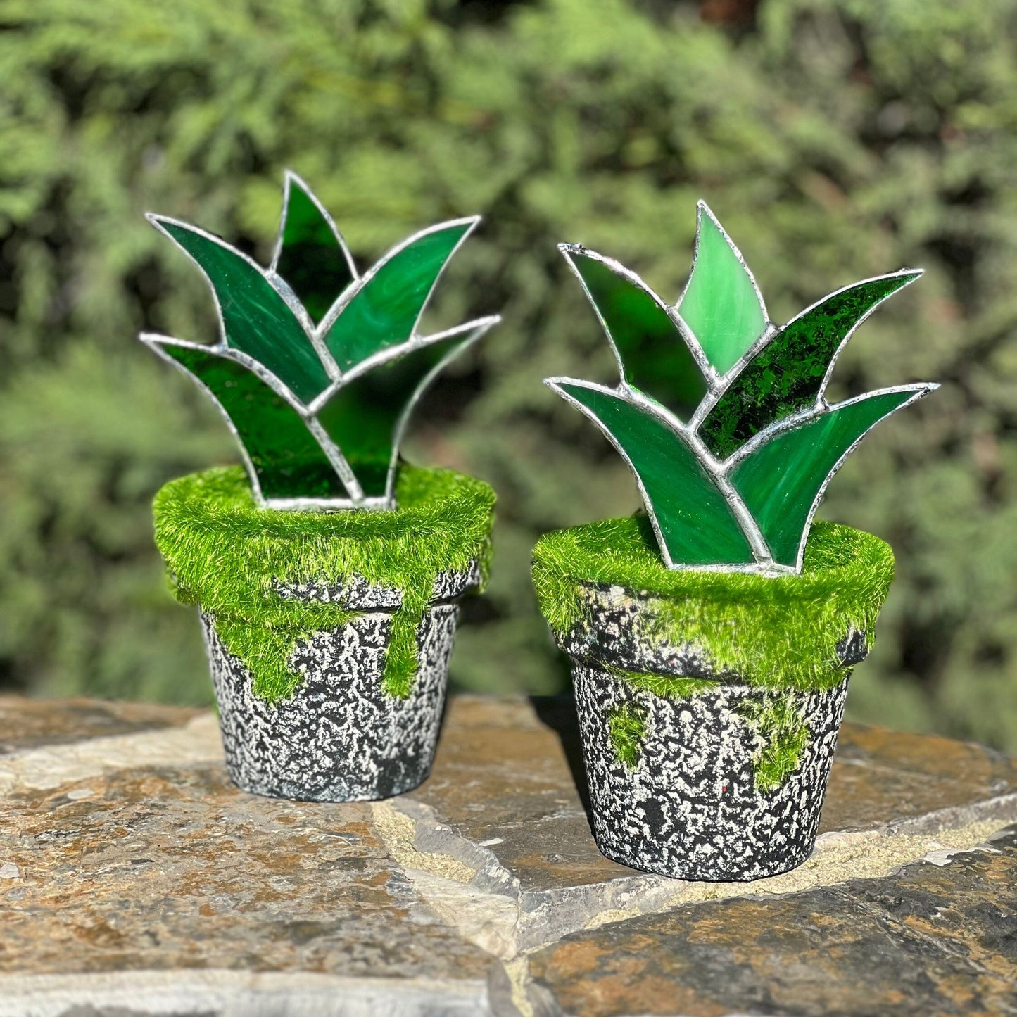 Buntglas-Sukkulenten – Agaven-Aloe-Pflanze aus Buntglas