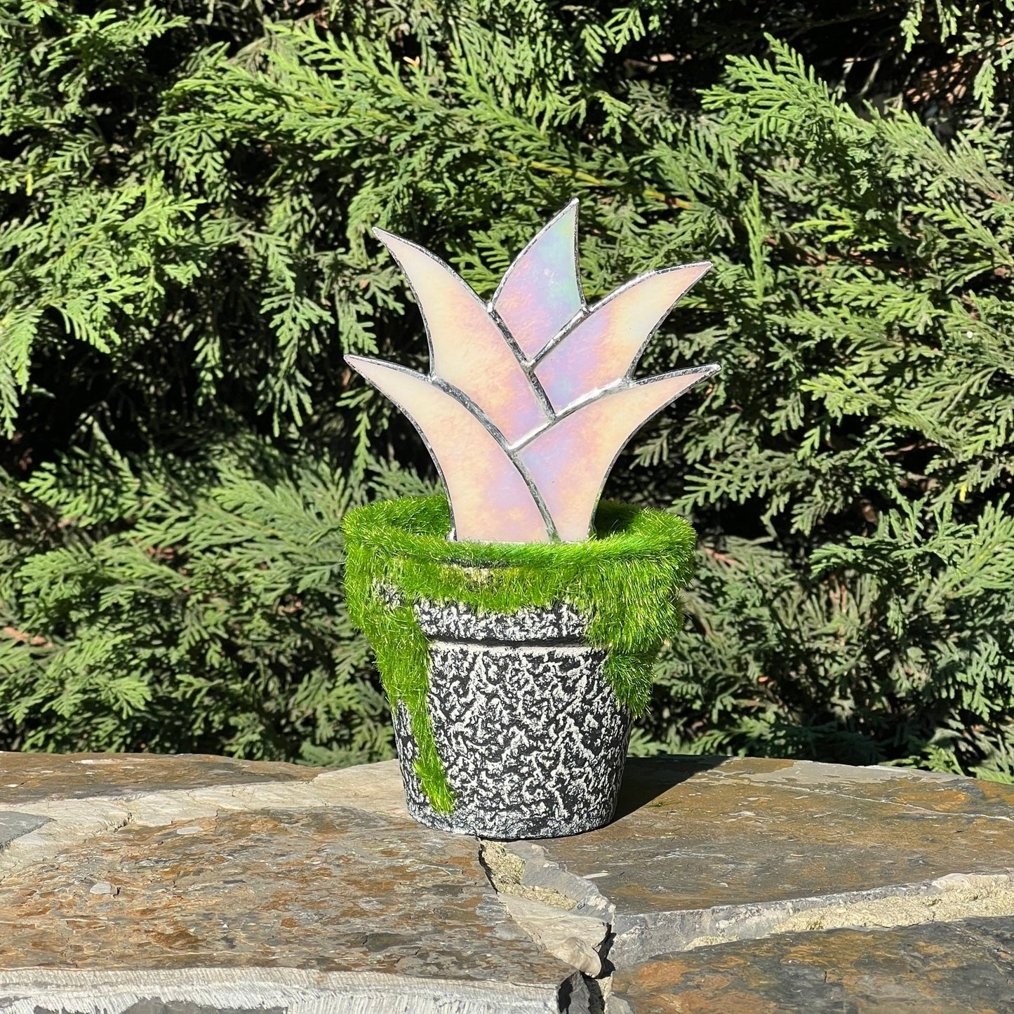Estaca de planta de agave de vidrieras - Conjunto de regalo de planta de agave rosa para ella